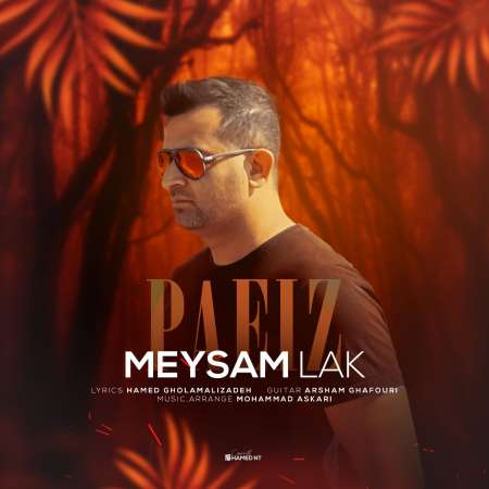 Meysam Lak – Paeiz